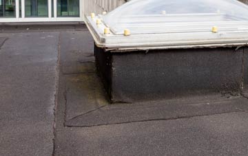 disadvantages of Rychraggan flat roofs