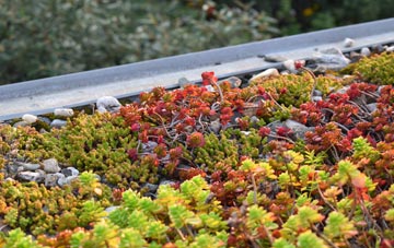 the cost of Rychraggan green roof installation