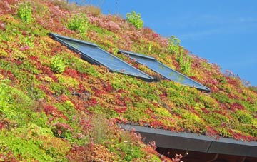 Rychraggan living roof systems