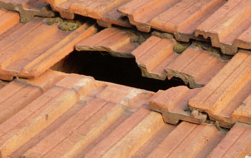 roof repair Rychraggan, Highland