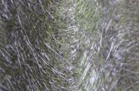 Rychraggan fibreglass roof work